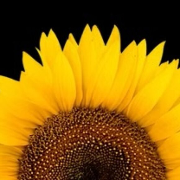 Meet your Posher, Cheryl - Picture 1 of 1